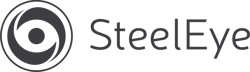 SteelEye Logo